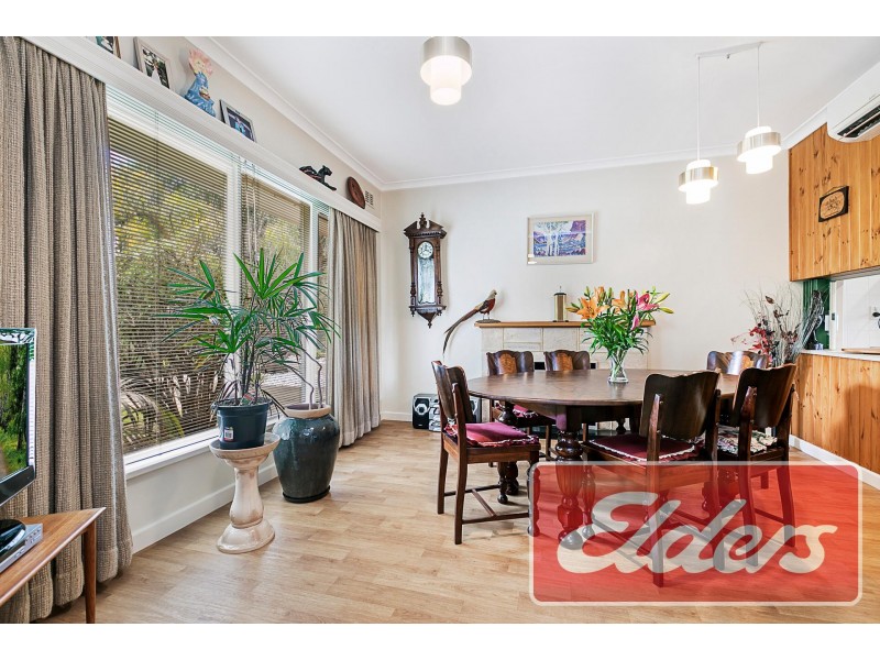15 Tanunda Road, Nuriootpa SA 5355