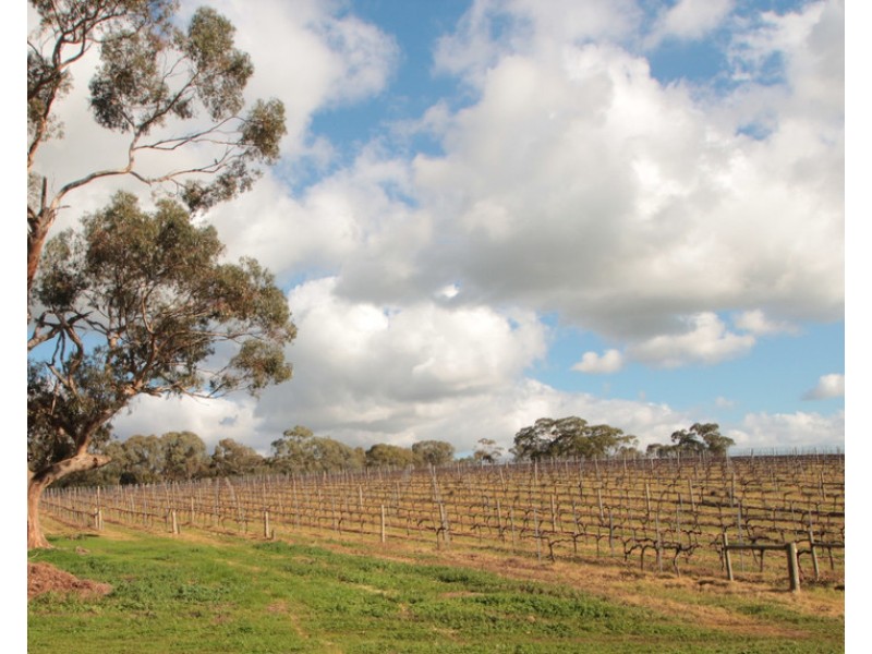 719 ULEY ROAD, Uleybury SA 5114