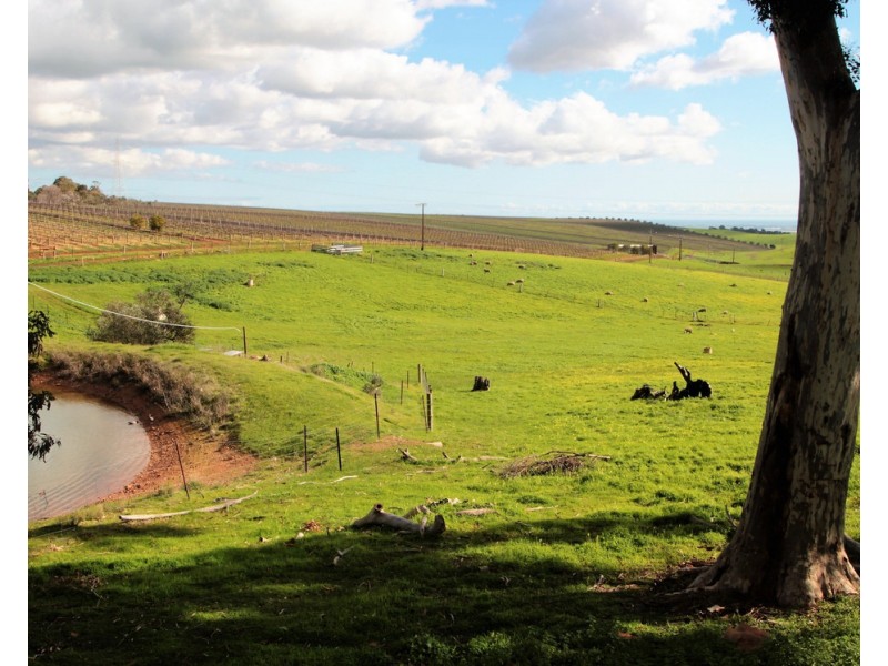 719 ULEY ROAD, Uleybury SA 5114