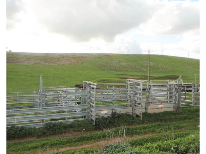 719 ULEY ROAD, Uleybury SA 5114