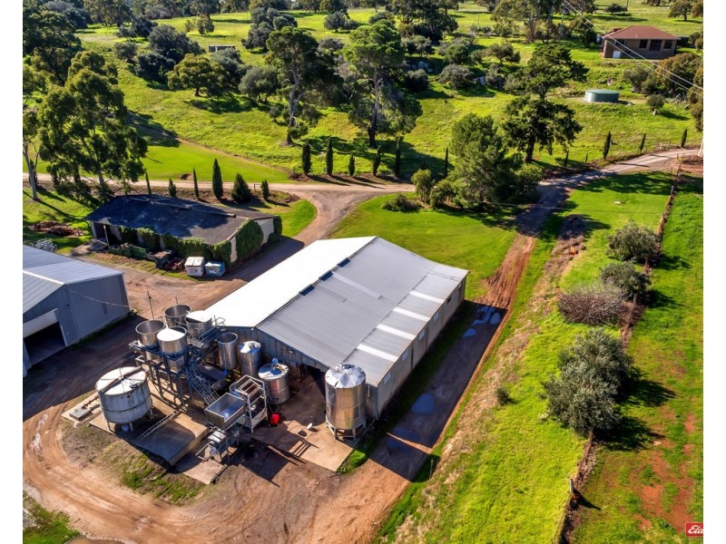 719 ULEY ROAD, Uleybury SA 5114