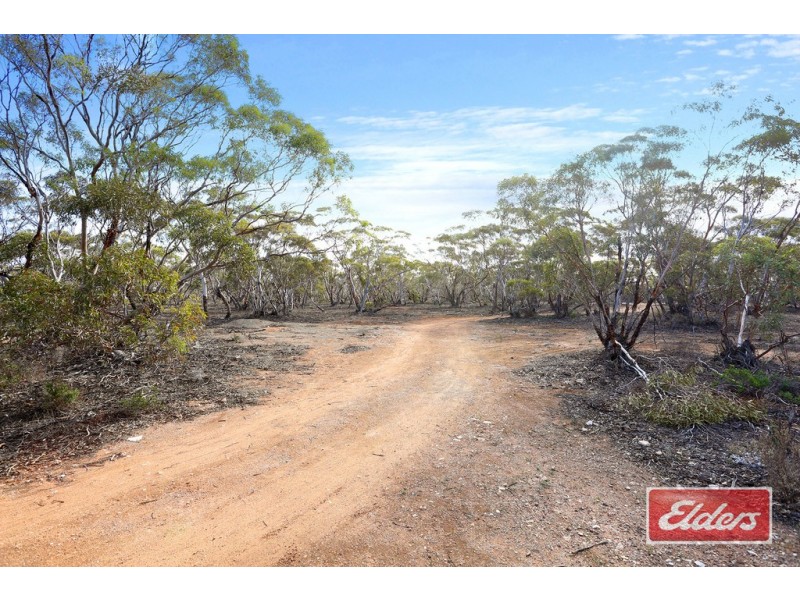 97 HOWARD ROAD, Annadale SA 5356