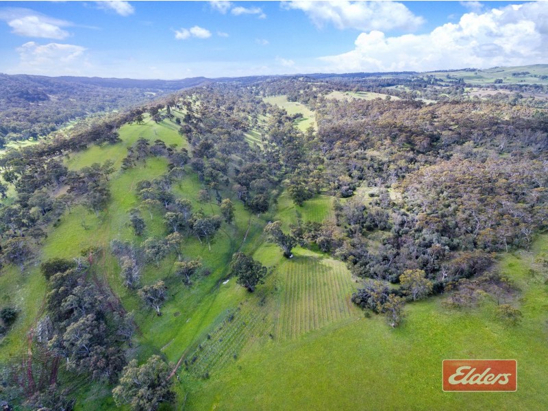 213 Sollys Hill Road, Watervale SA 5452