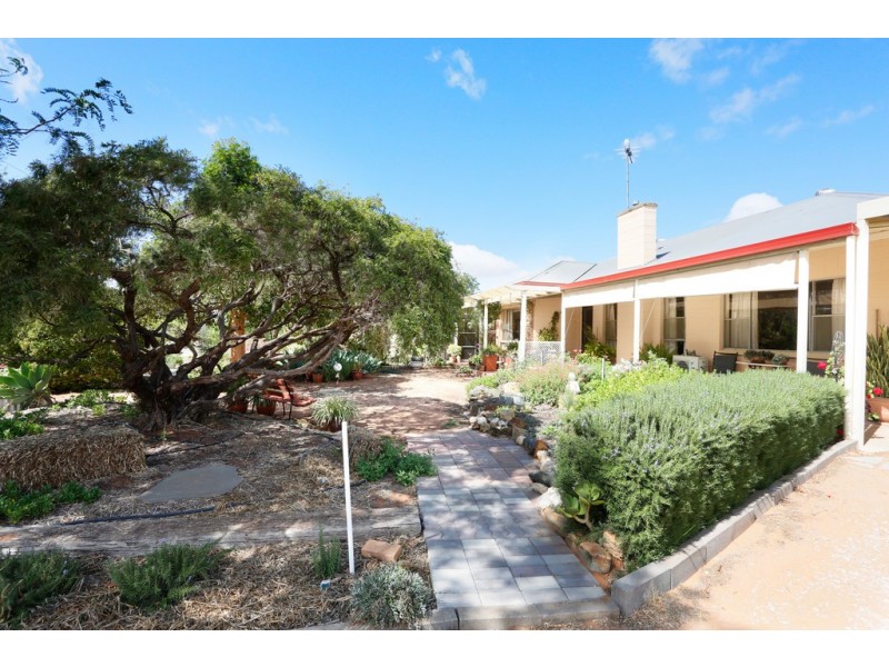 17 Day Street, Nildottie SA 5238