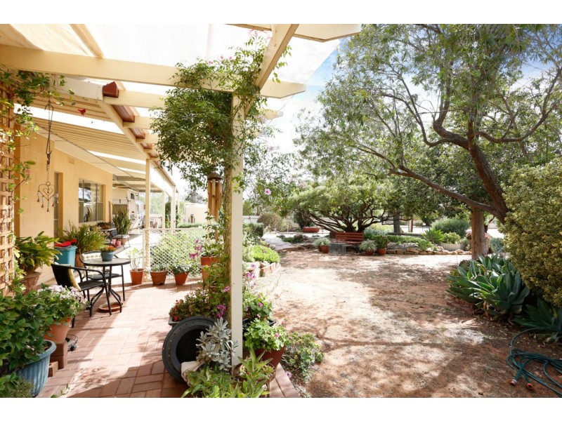 17 Day Street, Nildottie SA 5238