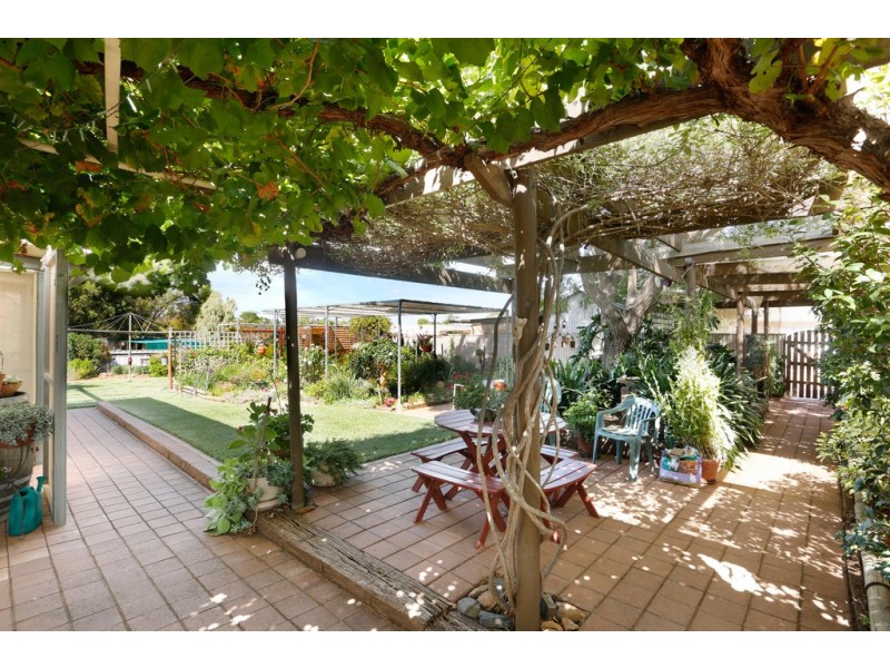 17 Day Street, Nildottie SA 5238