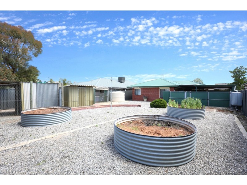 18 TRAMINER WAY, Nuriootpa SA 5355