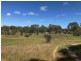 Lot 170 Jutland Road, Springton SA 5235