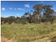 Lot 170 Jutland Road, Springton SA 5235