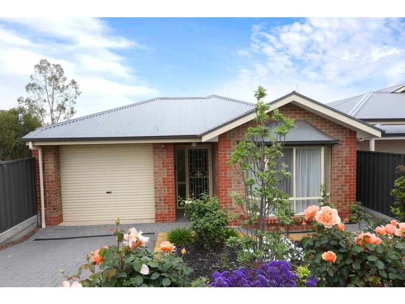 24 MacDonnell Street, Tanunda SA 5352