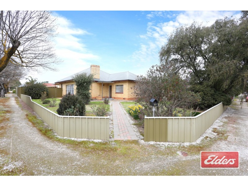 20 Centenary Avenue, Nuriootpa SA 5355