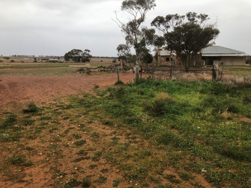 929 Plains Road, Australia Plains SA 5374