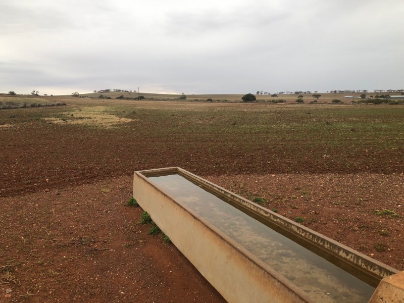 929 Plains Road, Australia Plains SA 5374