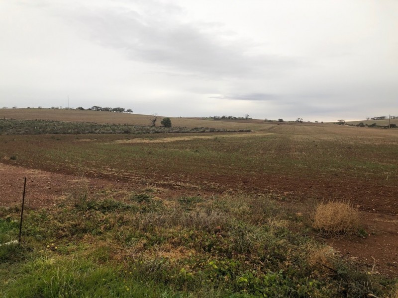 929 Plains Road, Australia Plains SA 5374