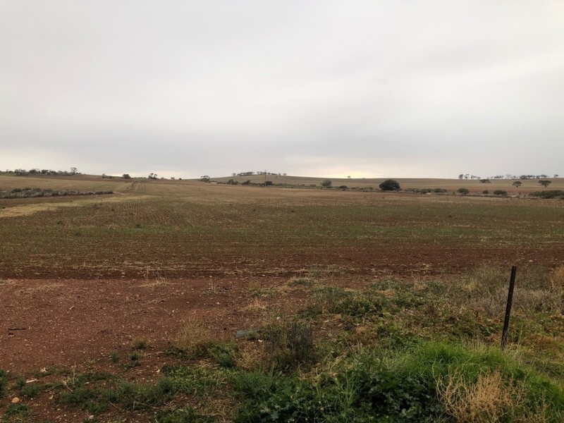 929 Plains Road, Australia Plains SA 5374