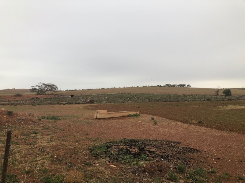 929 Plains Road, Australia Plains SA 5374