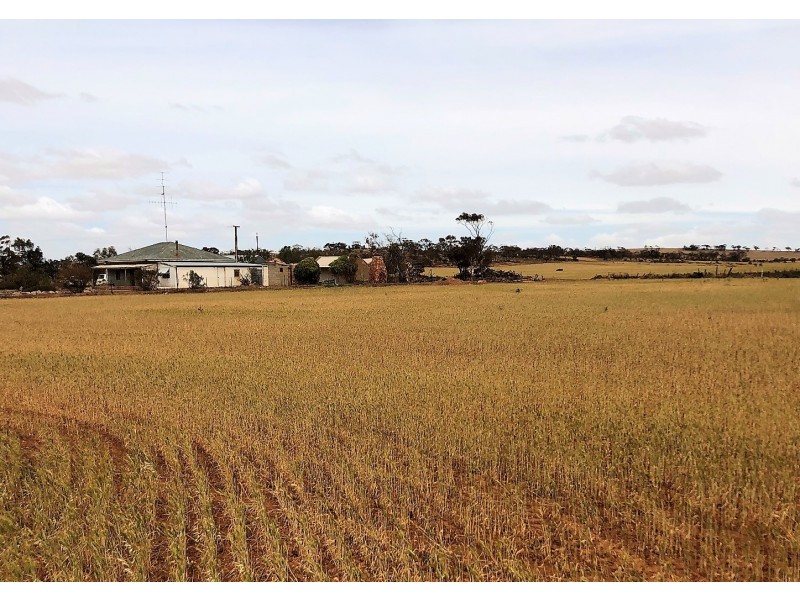 929 Plains Road, Australia Plains SA 5374