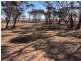 Lot 2 Border Road, Sutherlands SA 5374