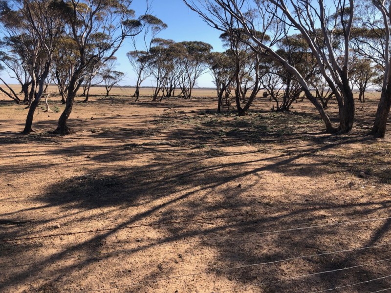 Lot 2 Border Road, Sutherlands SA 5374