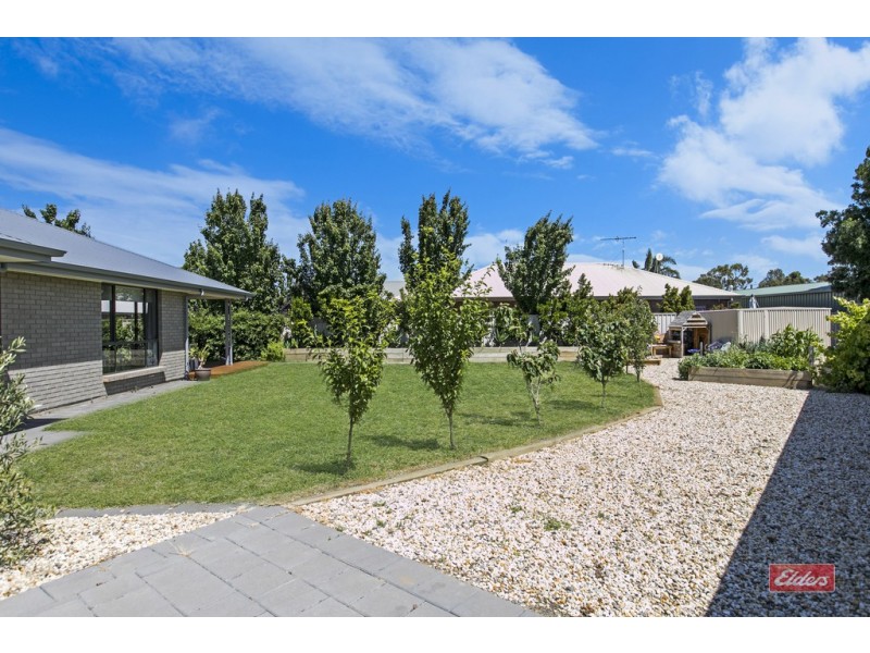 36 MOORE AVENUE, Nuriootpa SA 5355