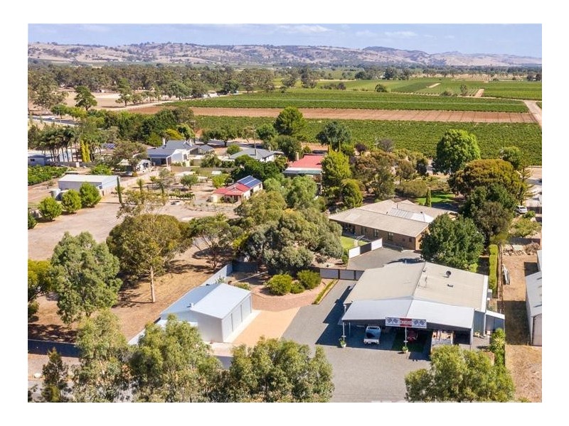 155 ANGASTON ROAD, Nuriootpa SA 5355
