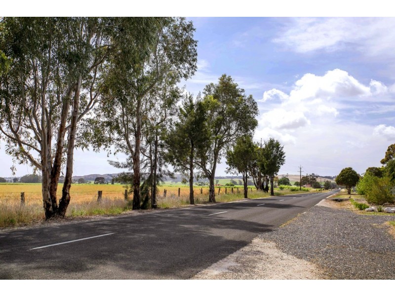 155 ANGASTON ROAD, Nuriootpa SA 5355