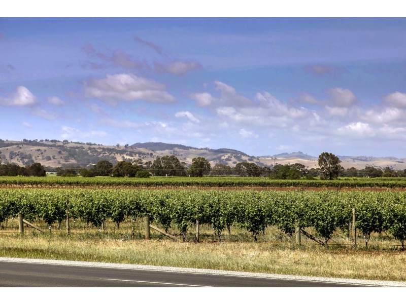 155 ANGASTON ROAD, Nuriootpa SA 5355