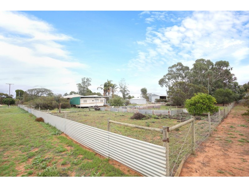 35 Reisling Road, Nildottie SA 5238