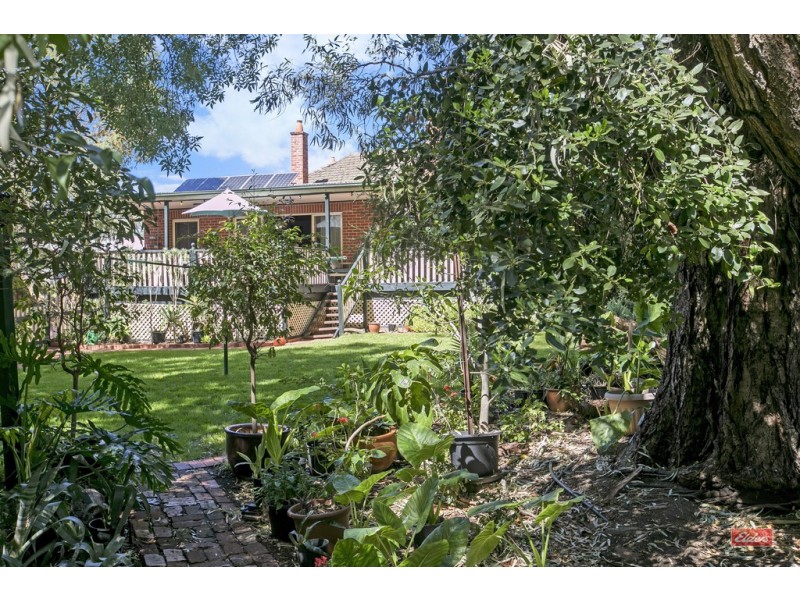 8 MARGARET STREET, Lyndoch SA 5351