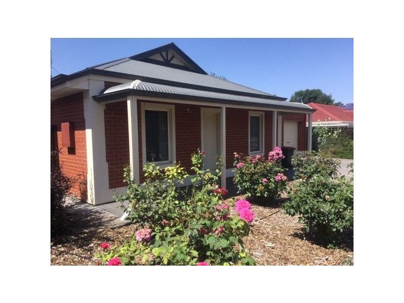 19 Cross Street, Angaston SA 5353