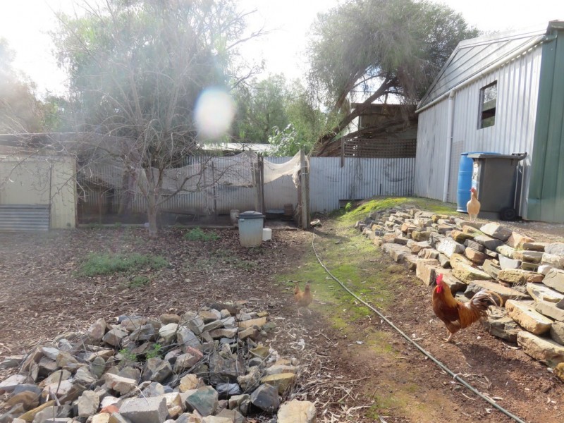 57 OLD ADELAIDE ROAD, Kapunda SA 5373