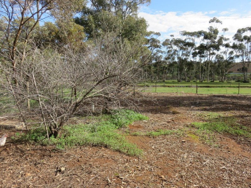 57 OLD ADELAIDE ROAD, Kapunda SA 5373