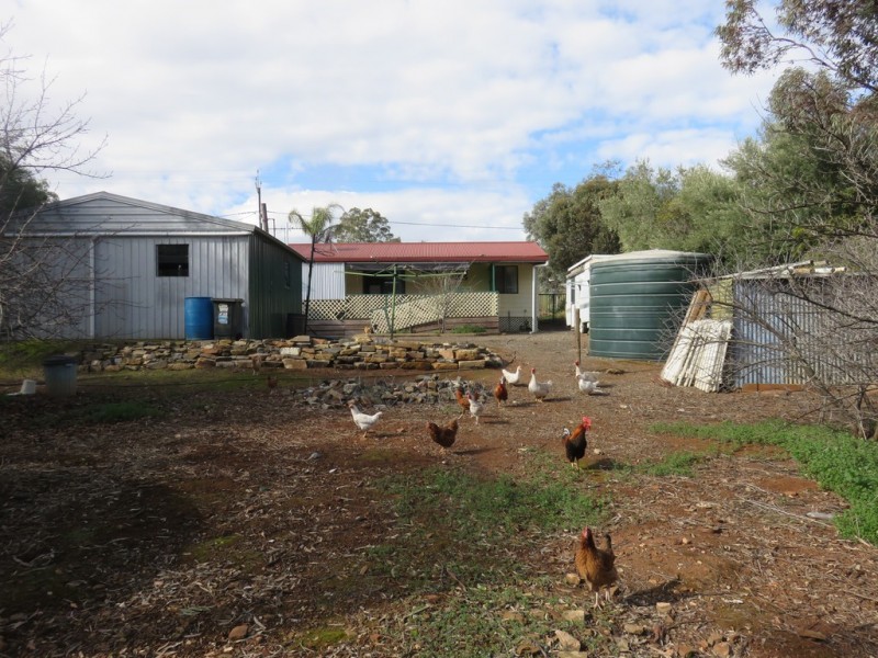 57 OLD ADELAIDE ROAD, Kapunda SA 5373