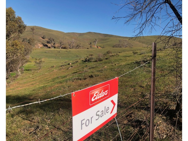 Lot 5 Pine Hut Road (via Keyneton), Angaston SA 5353