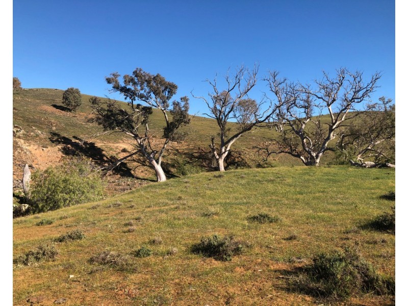 Lot 5 Pine Hut Road (via Keyneton), Angaston SA 5353