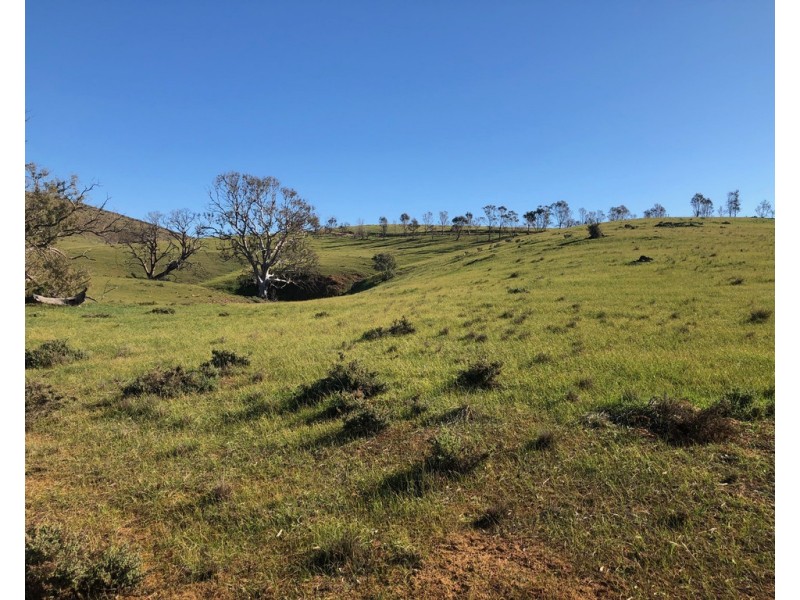 Lot 5 Pine Hut Road (via Keyneton), Angaston SA 5353