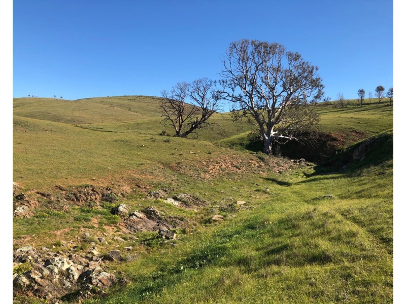 Lot 5 Pine Hut Road (via Keyneton), Angaston SA 5353