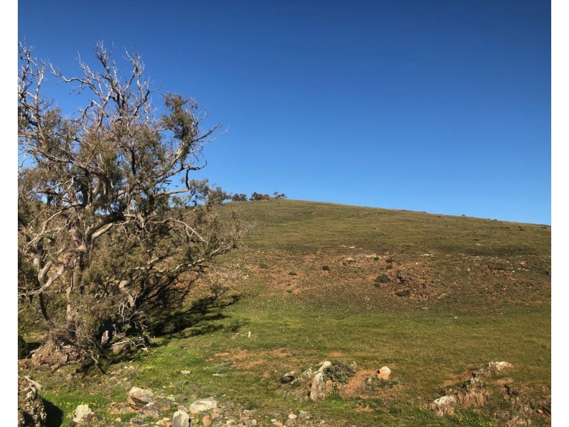 Lot 5 Pine Hut Road (via Keyneton), Angaston SA 5353
