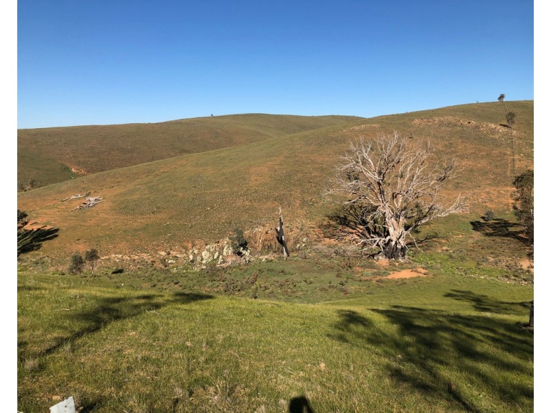 Lot 5 Pine Hut Road (via Keyneton), Angaston SA 5353