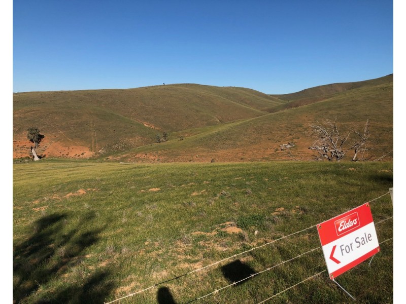 Lot 5 Pine Hut Road (via Keyneton), Angaston SA 5353