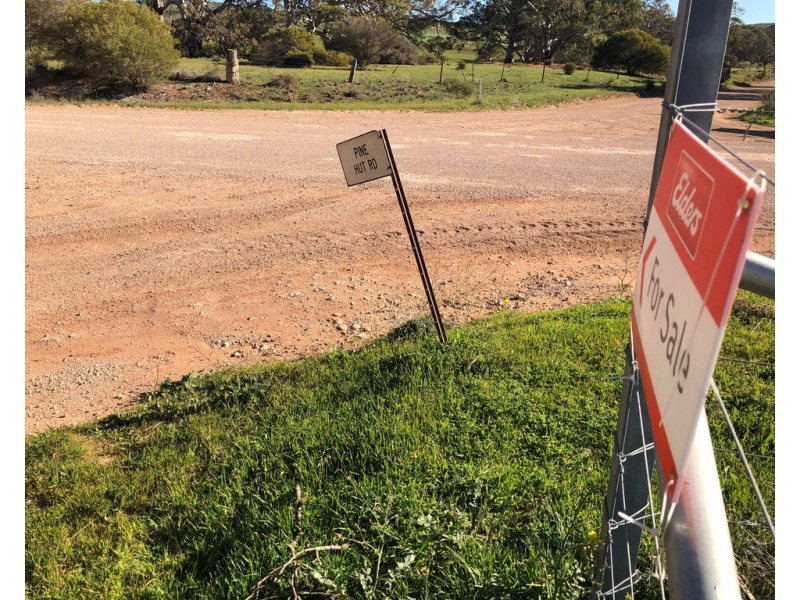 Lot 5 Pine Hut Road (via Keyneton), Angaston SA 5353