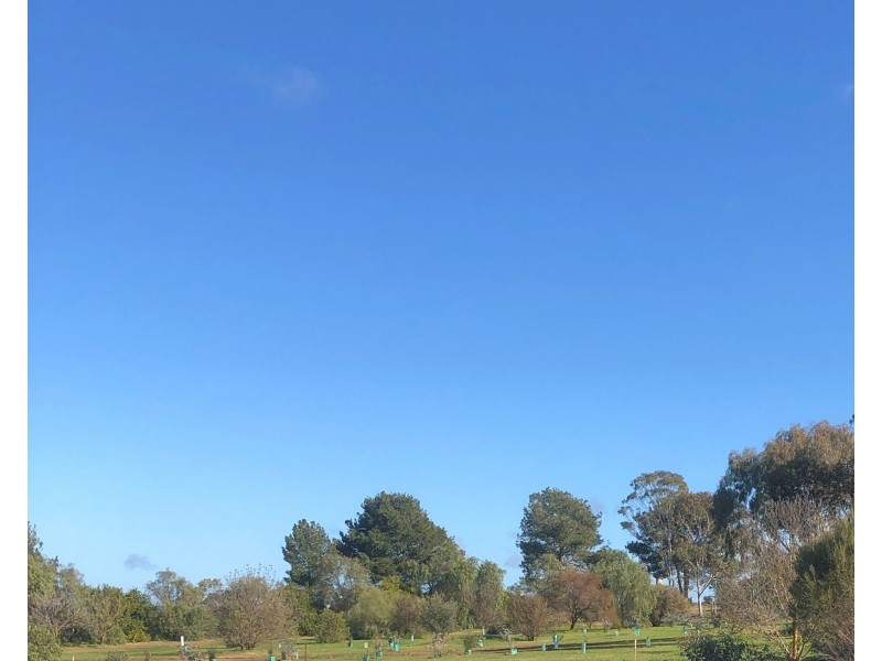 Lot 64 Hogan Street, Kapunda SA 5373