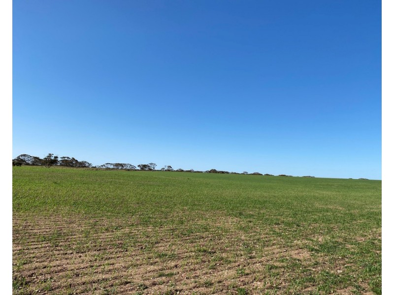 Lot 136 Lake Moodie Road, Sedan SA 5353