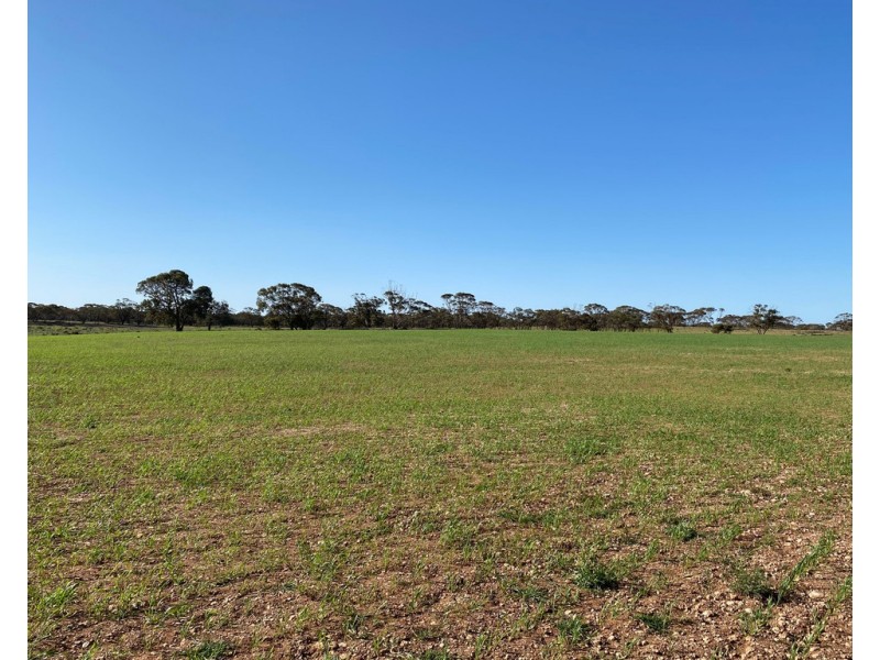 Lot 136 Lake Moodie Road, Sedan SA 5353