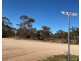 Lot 136 Lake Moodie Road, Sedan SA 5353