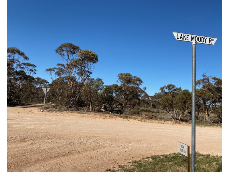Lot 136 Lake Moodie Road, Sedan SA 5353