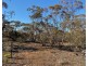 Lot 136 Lake Moodie Road, Sedan SA 5353