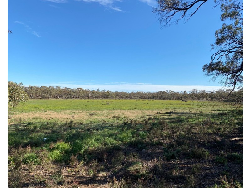 Lot 136 Lake Moodie Road, Sedan SA 5353