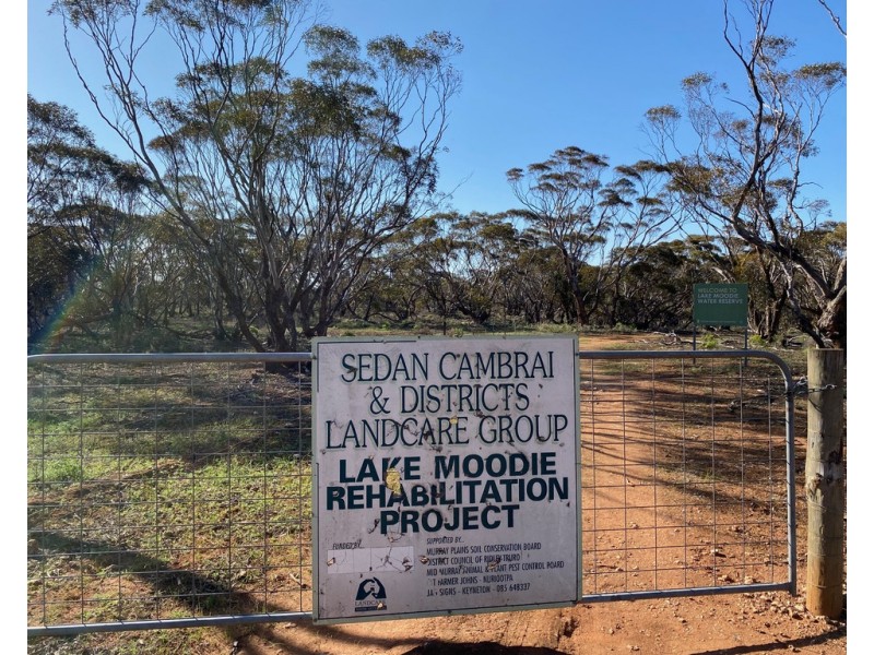 Lot 136 Lake Moodie Road, Sedan SA 5353