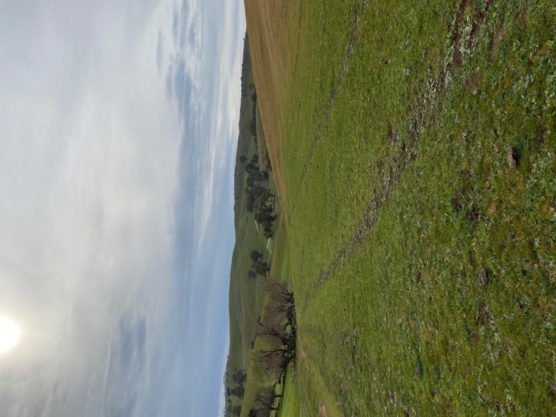 Lot 117 Stoney Banks Road, Mount Pleasant SA 5235